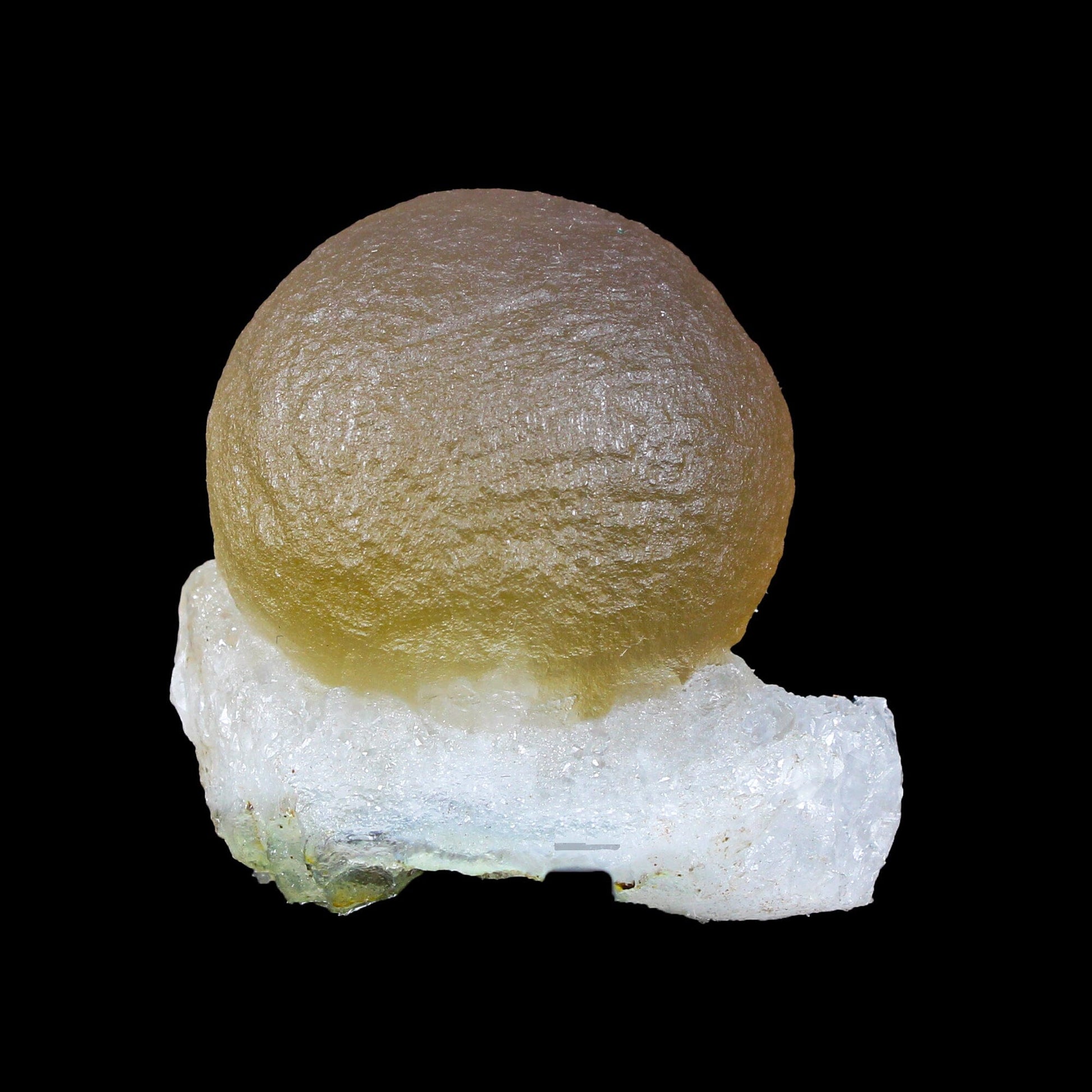 Botryoidal Fluorite on Quartz – Natural Mineral Specimen # B 7164 Fluorite Superb Minerals 