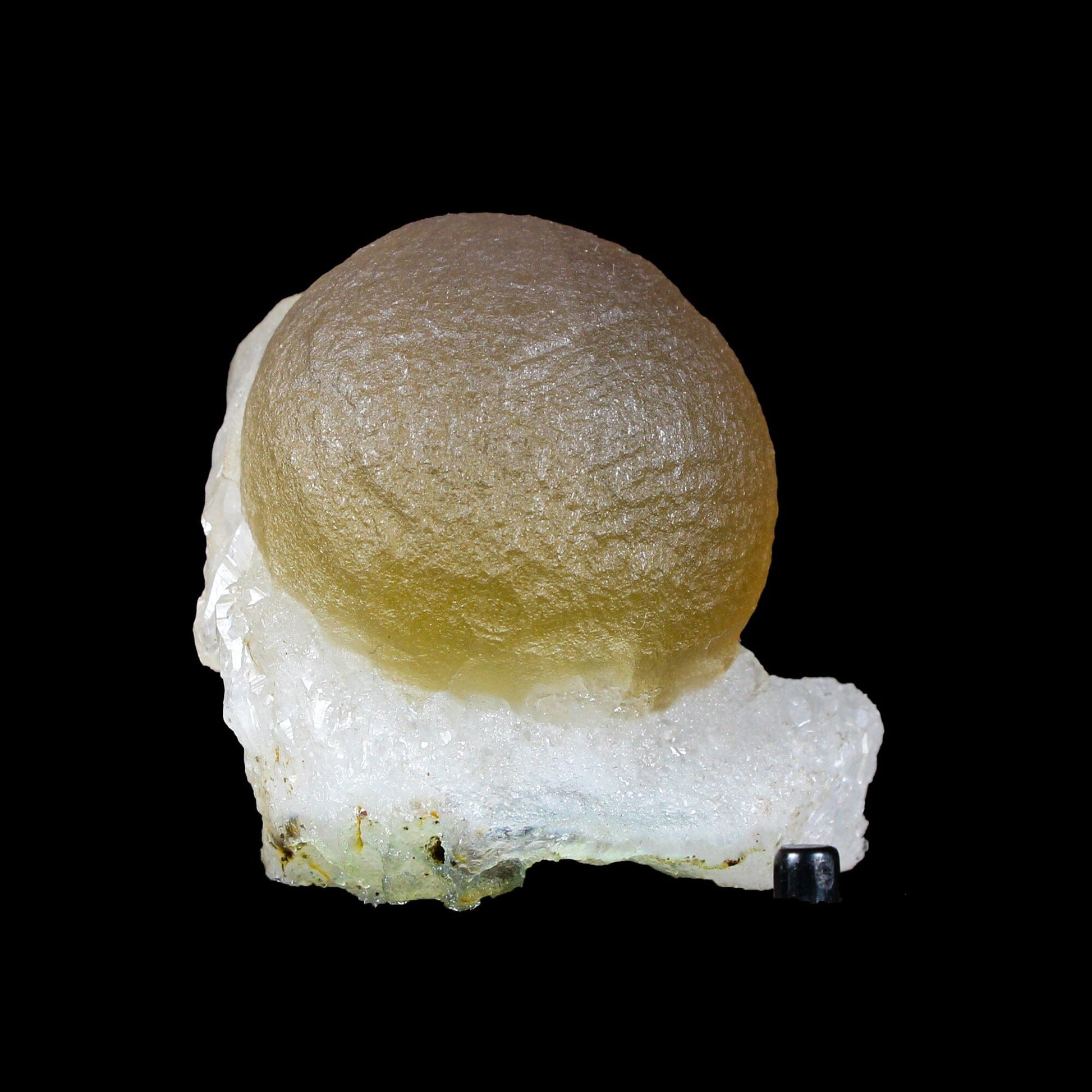 Botryoidal Fluorite on Quartz – Natural Mineral Specimen # B 7164 Fluorite Superb Minerals 