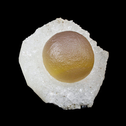 Botryoidal Fluorite on Quartz – Natural Mineral Specimen # B 7174 Fluorite Superb Minerals 