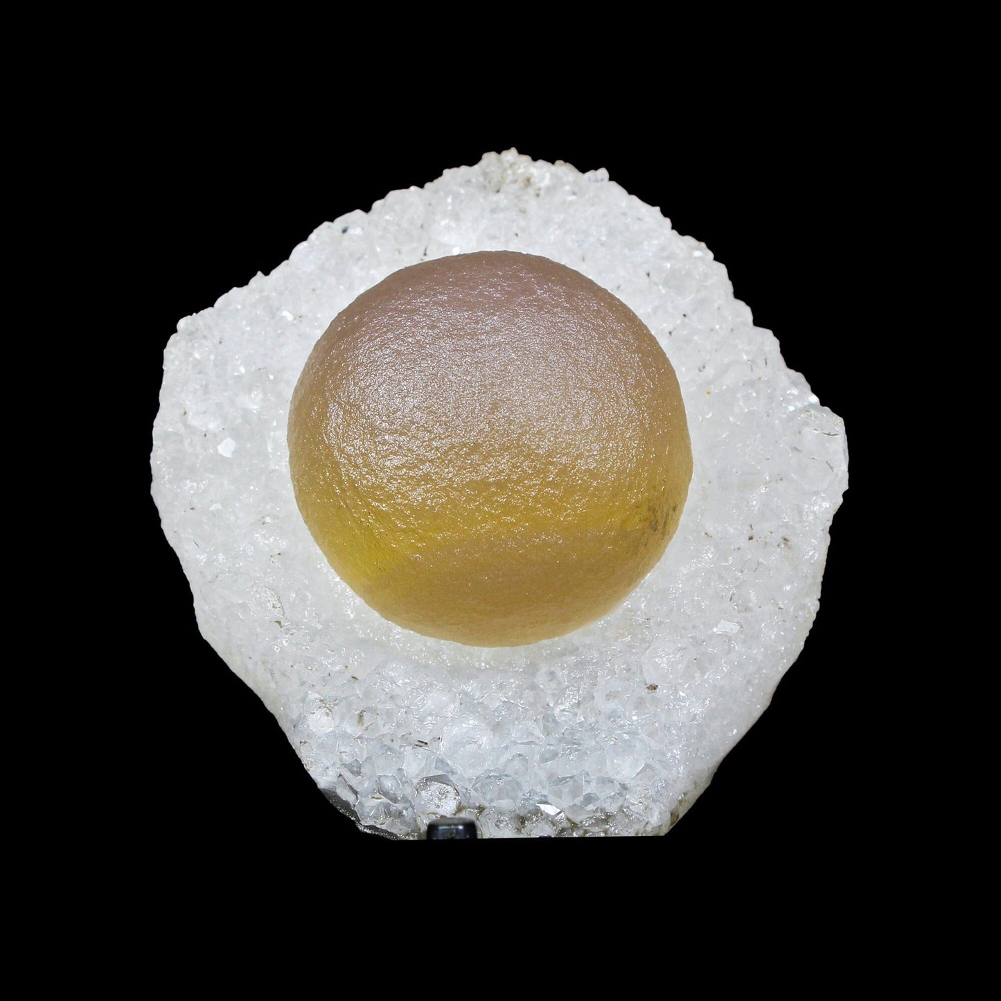 Botryoidal Fluorite on Quartz – Natural Mineral Specimen # B 7174 Fluorite Superb Minerals 