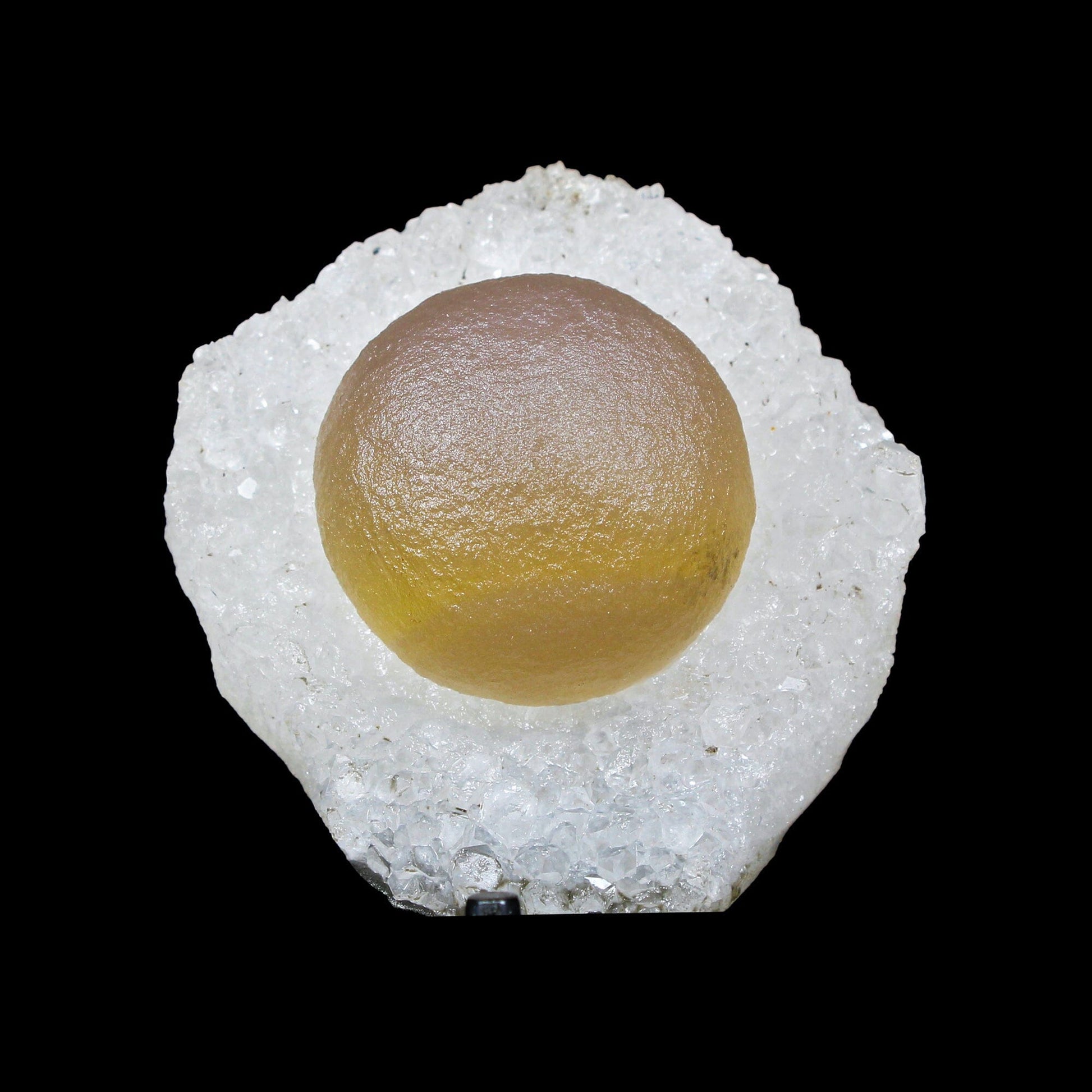Botryoidal Fluorite on Quartz – Natural Mineral Specimen # B 7174 Fluorite Superb Minerals 