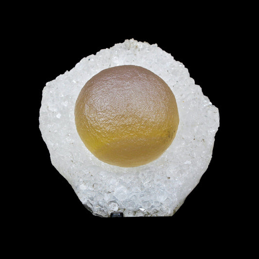 Botryoidal Fluorite on Quartz – Natural Mineral Specimen # B 7174 Fluorite Superb Minerals 