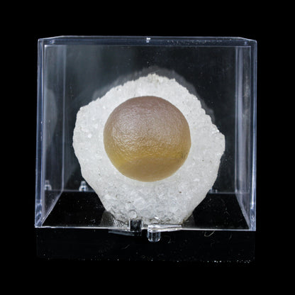 Botryoidal Fluorite on Quartz – Natural Mineral Specimen # B 7174 Fluorite Superb Minerals 