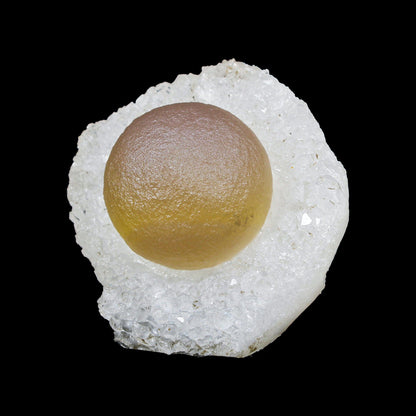 Botryoidal Fluorite on Quartz – Natural Mineral Specimen # B 7174 Fluorite Superb Minerals 