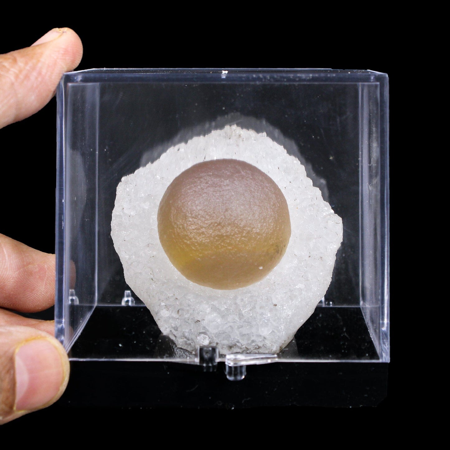 Botryoidal Fluorite on Quartz – Natural Mineral Specimen # B 7174 Fluorite Superb Minerals 