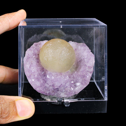 Botryoidal Yelllow Fluorite on Amethyst – Natural Mineral Specimen # B 7170 Fluorite Superb Minerals 