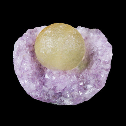 Botryoidal Yelllow Fluorite on Amethyst – Natural Mineral Specimen # B 7170 Fluorite Superb Minerals 