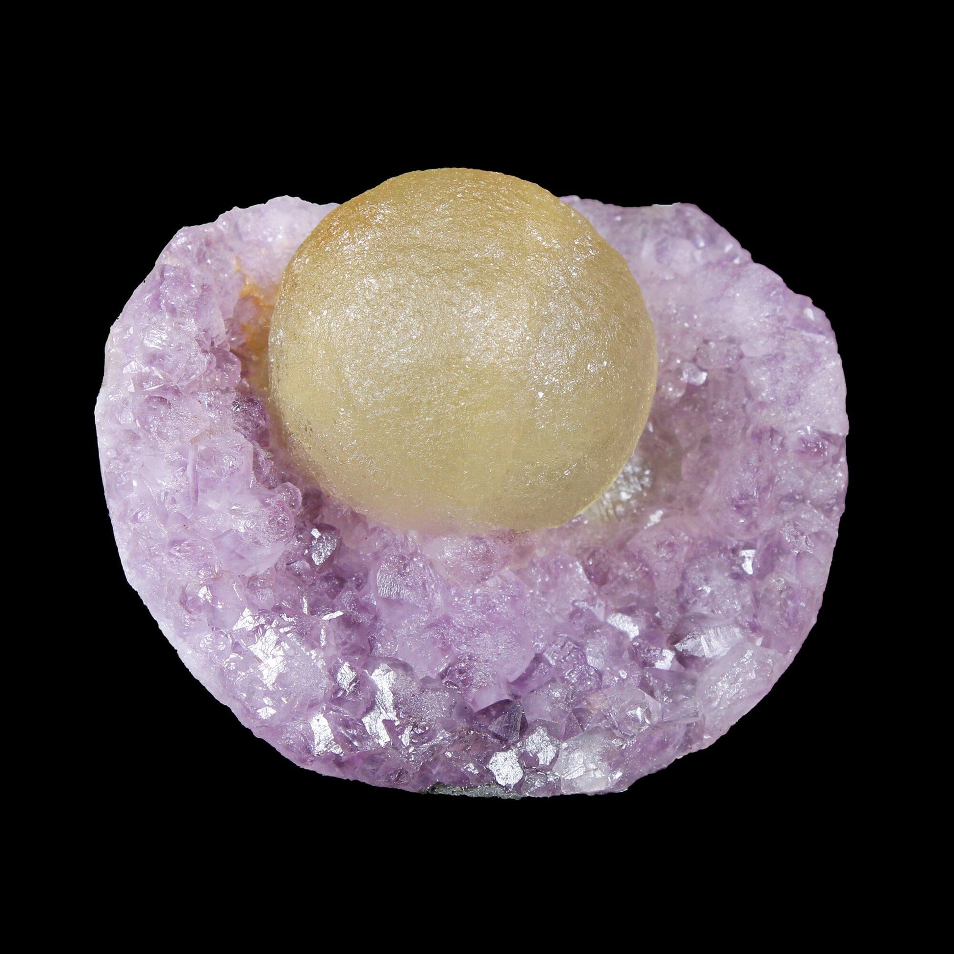 Botryoidal Yelllow Fluorite on Amethyst – Natural Mineral Specimen # B 7170 Fluorite Superb Minerals 
