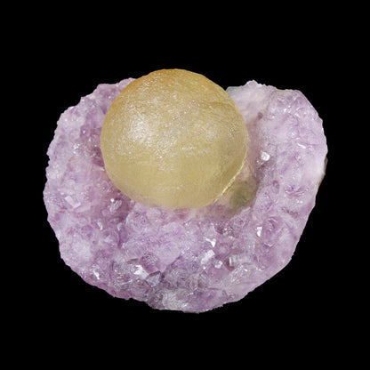 Botryoidal Yelllow Fluorite on Amethyst – Natural Mineral Specimen # B 7170 Fluorite Superb Minerals 