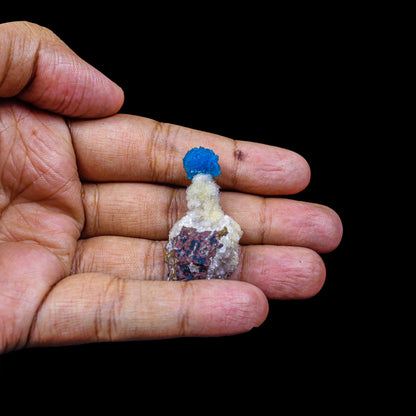 Cavansite on Heulandite (Rare Find) Natural Mineral Specimen # B 6950 Cavansite Superb Minerals 