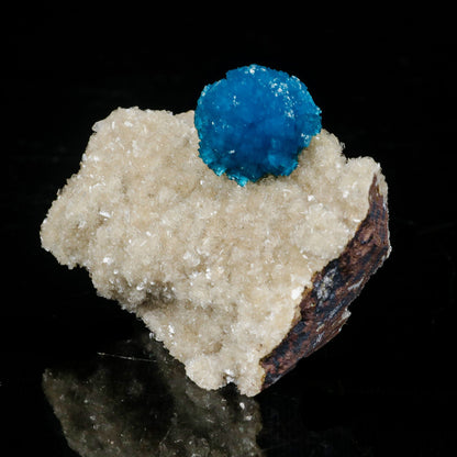 Cavansite on Heulandite (Rare Find) Natural Mineral Specimen # B 7095 Cavansite Superb Minerals 