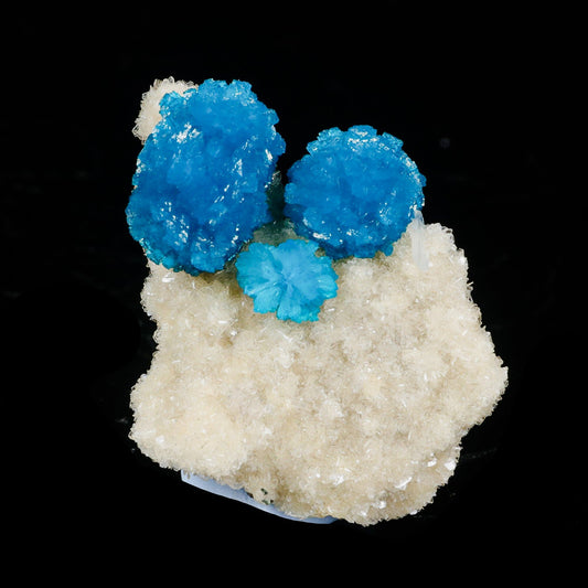 Cavansite on Heulandite (Rare Find) Natural Mineral Specimen # B 7099