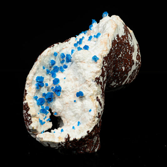 Cavansite on Modernite (Rare Find) Natural Mineral Specimen # B 6759 Cavansite Superb Minerals 