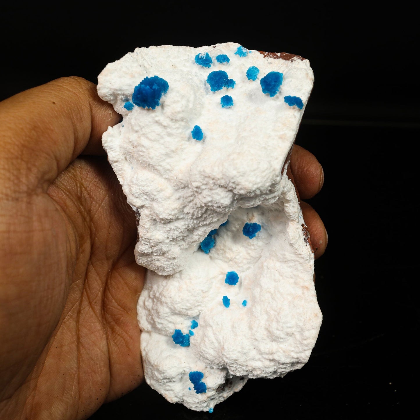 Cavansite on Modernite (Rare Find) Natural Mineral Specimen # B 6761 Cavansite Superb Minerals 
