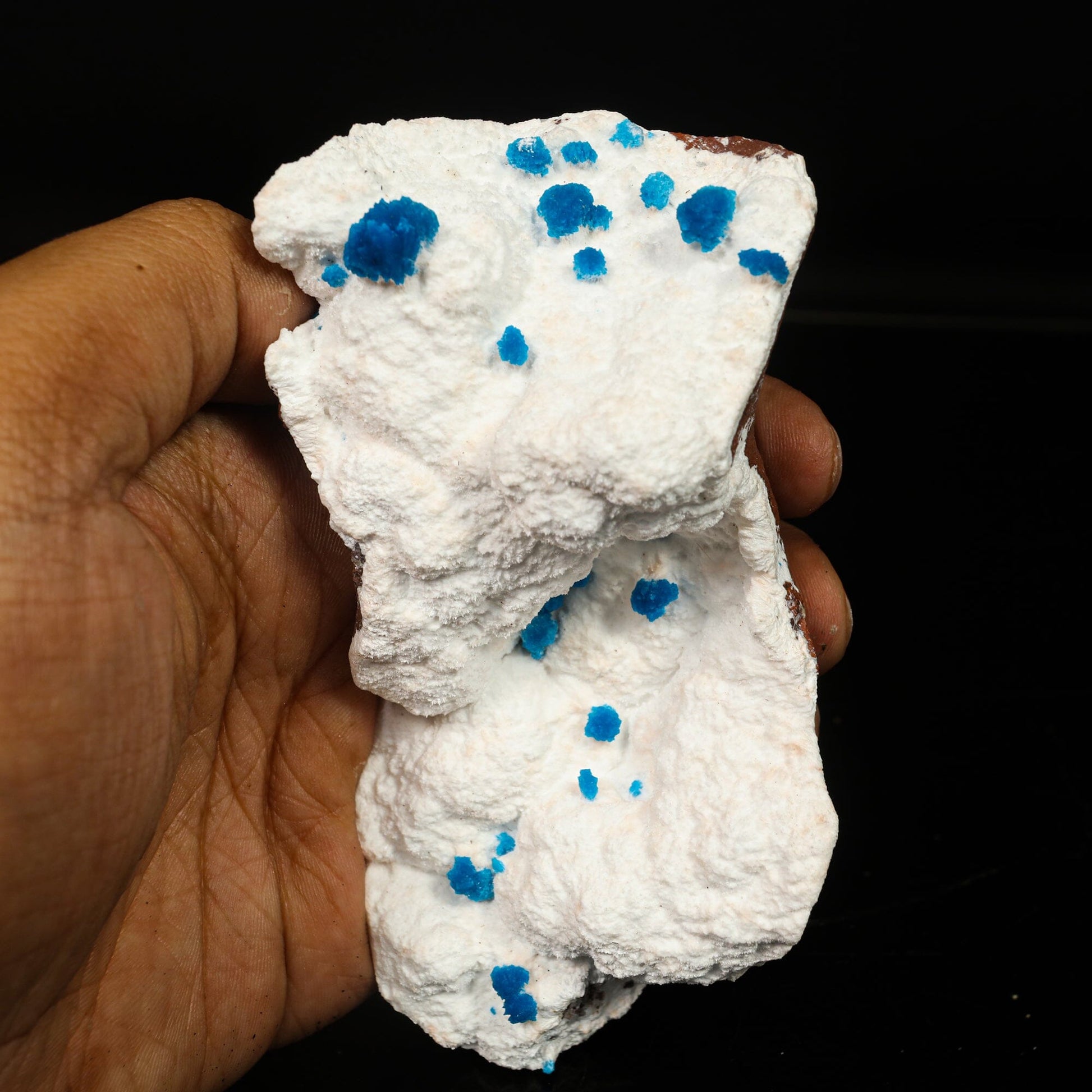 Cavansite on Modernite (Rare Find) Natural Mineral Specimen # B 6761 Cavansite Superb Minerals 
