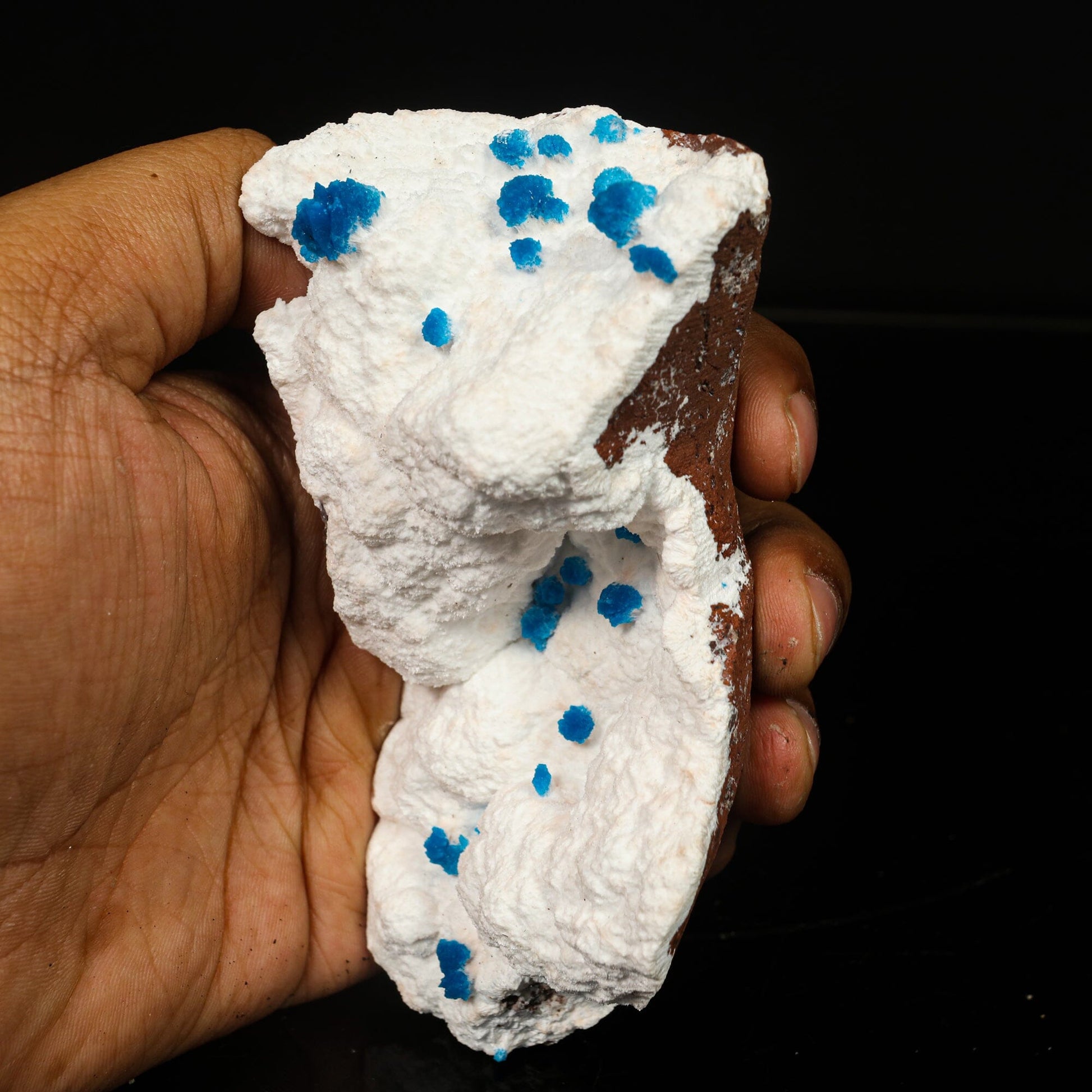 Cavansite on Modernite (Rare Find) Natural Mineral Specimen # B 6761 Cavansite Superb Minerals 