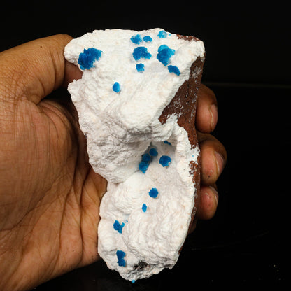 Cavansite on Modernite (Rare Find) Natural Mineral Specimen # B 6761 Cavansite Superb Minerals 