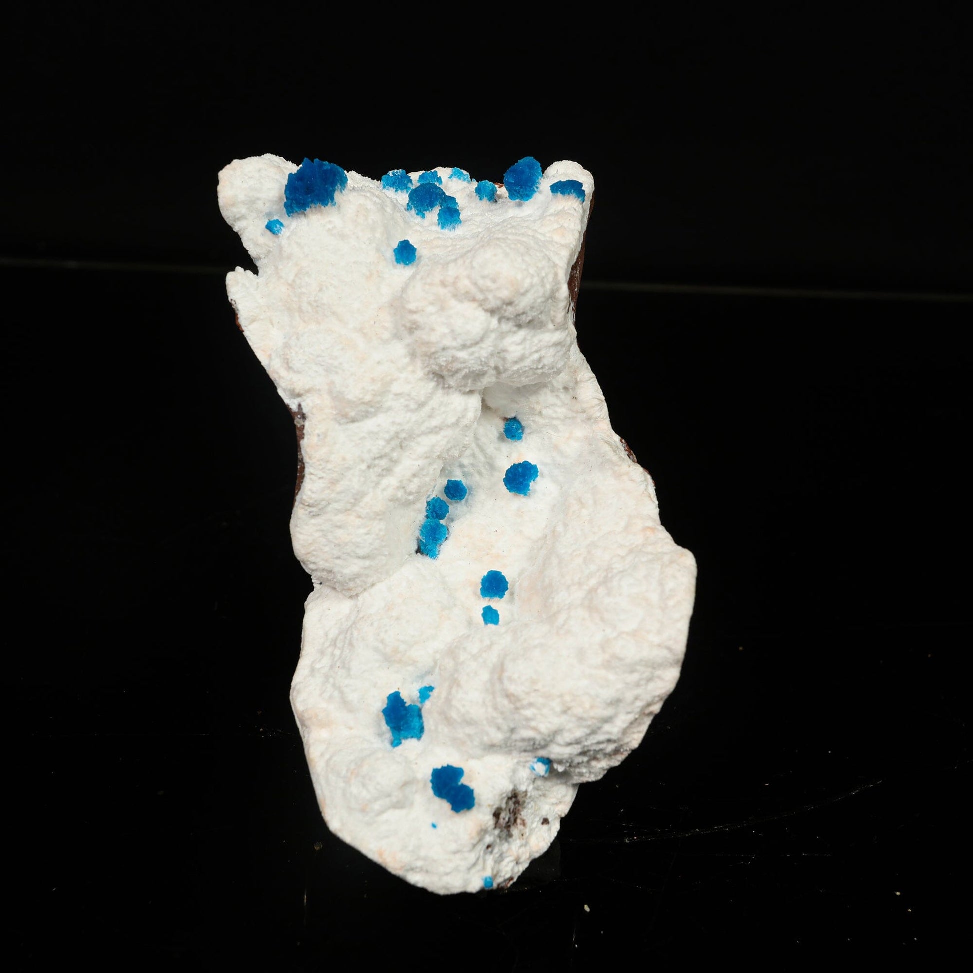 Cavansite on Modernite (Rare Find) Natural Mineral Specimen # B 6761 Cavansite Superb Minerals 