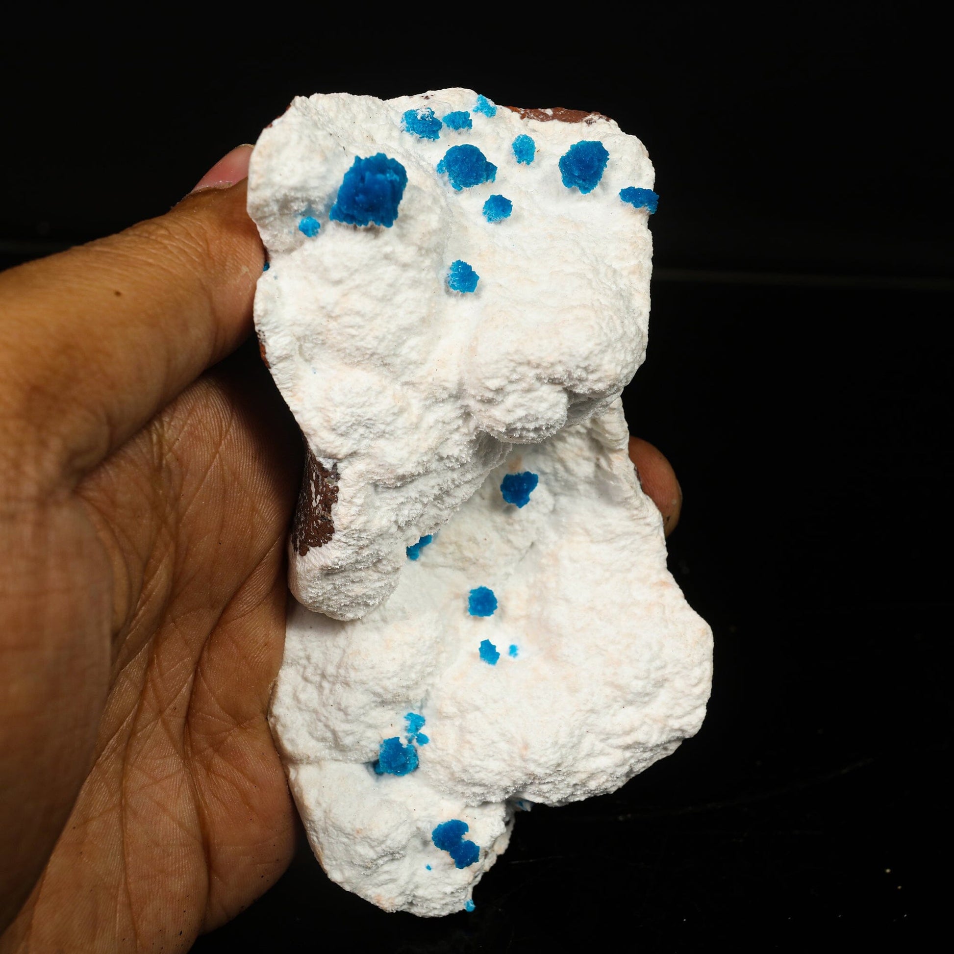 Cavansite on Modernite (Rare Find) Natural Mineral Specimen # B 6761 Cavansite Superb Minerals 