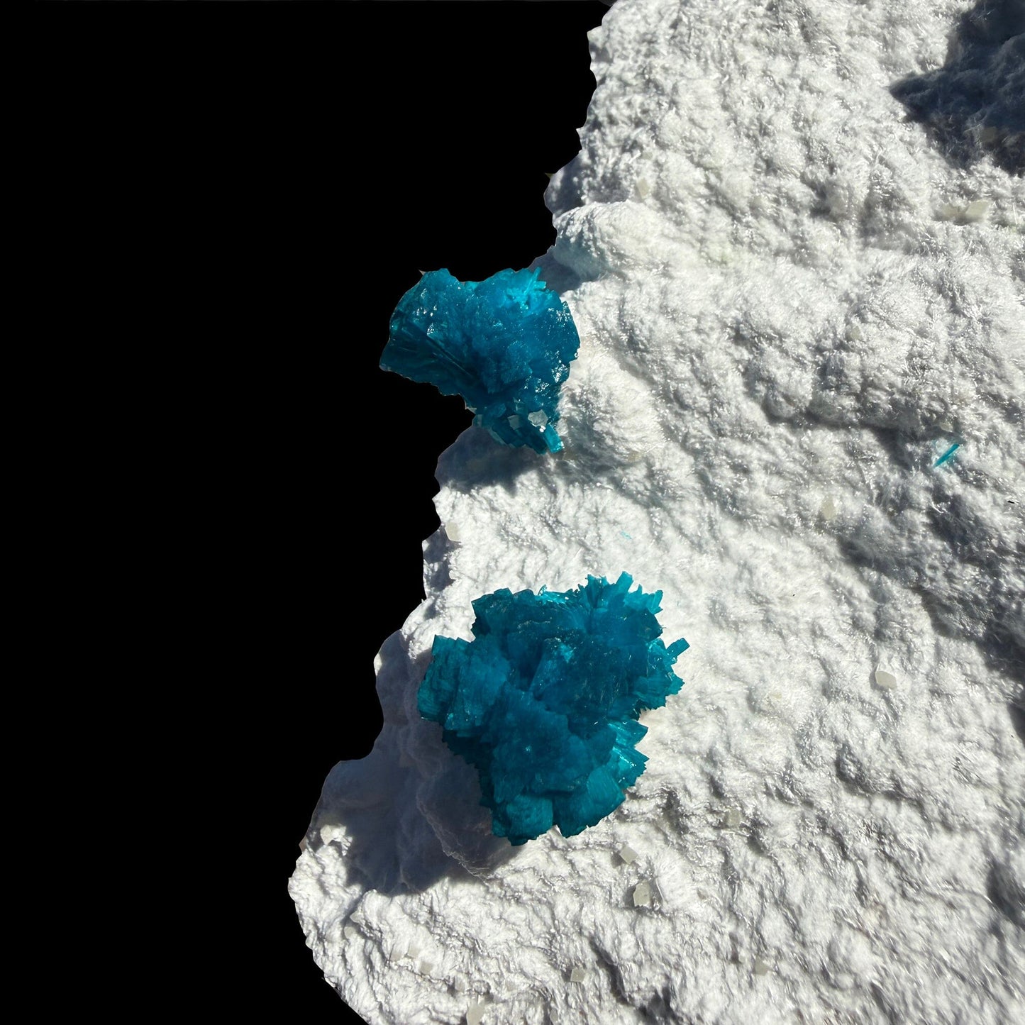 Cavansite on Modernite (Rare Find) Natural Mineral Specimen # DKT41 Cavansite Superb Minerals 