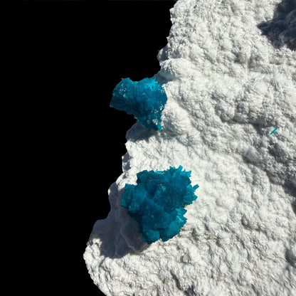 Cavansite on Modernite (Rare Find) Natural Mineral Specimen # DKT41 Cavansite Superb Minerals 