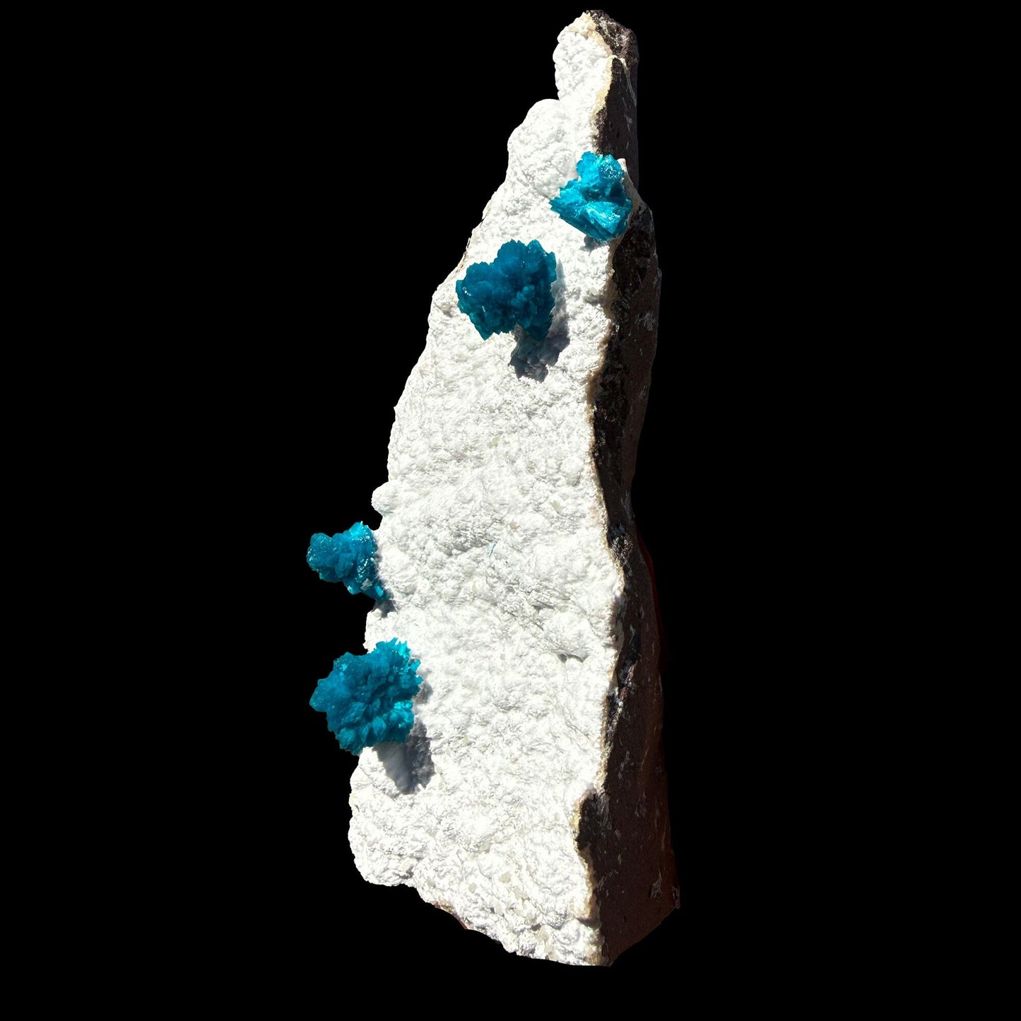 Cavansite on Modernite (Rare Find) Natural Mineral Specimen # DKT41 Cavansite Superb Minerals 
