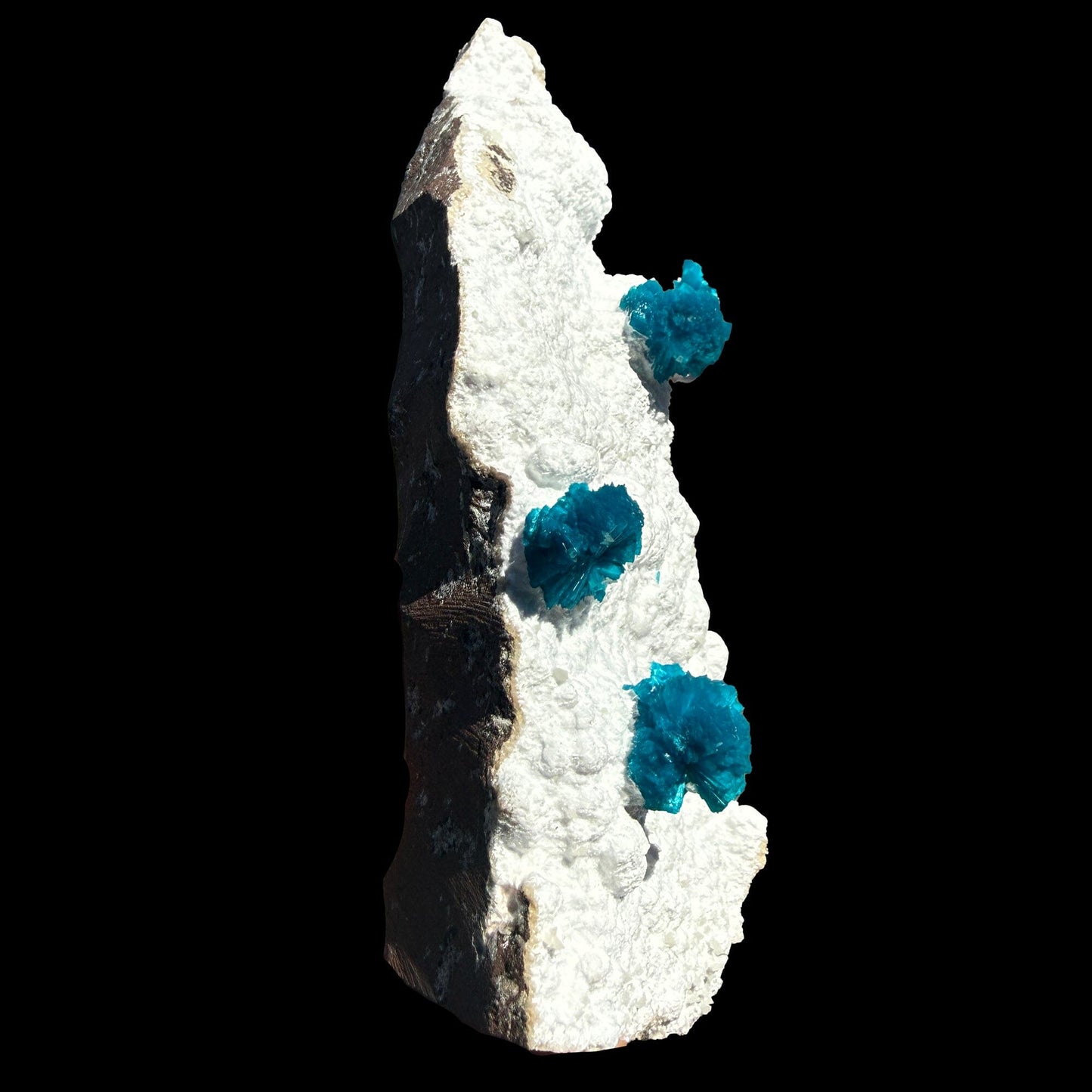 Cavansite on Modernite (Rare Find) Natural Mineral Specimen # DKT41 Cavansite Superb Minerals 