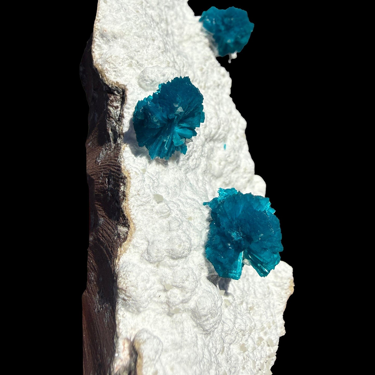 Cavansite on Modernite (Rare Find) Natural Mineral Specimen # DKT41 Cavansite Superb Minerals 