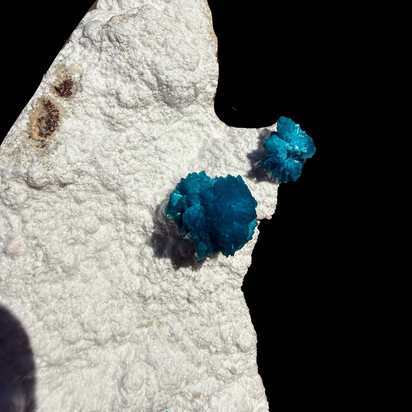 Cavansite on Modernite (Rare Find) Natural Mineral Specimen # DKT41 Cavansite Superb Minerals 