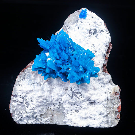 Cavansite on Mordenite (Rare Find) Natural Mineral Specimen # B 7023 Cavansite Superb Minerals 