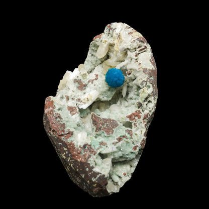 Cavansite on Mordenite (Rare Find) Natural Mineral Specimen # B 7062 Cavansite Superb Minerals 
