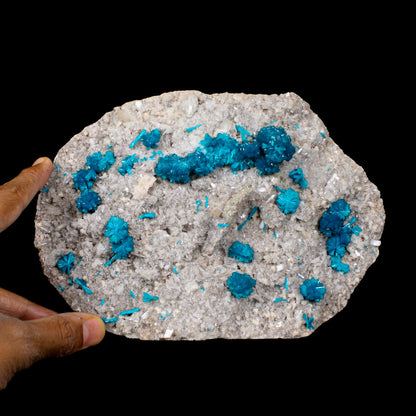 Cavansite on Stilbite,Heulandite Matrix – Vibrant Blue Flowers, Wagholi Quarry, Pune, India – Collector Grade Raw Zeolite Mineral Specimen # B 7150 Cavansite Superb Minerals 