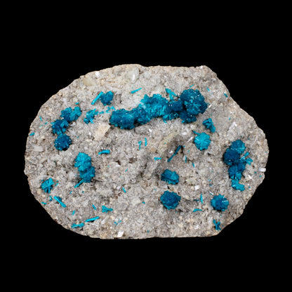 Cavansite on Stilbite,Heulandite Matrix – Vibrant Blue Flowers, Wagholi Quarry, Pune, India – Collector Grade Raw Zeolite Mineral Specimen # B 7150 Cavansite Superb Minerals 