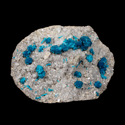 Cavansite on Stilbite,Heulandite Matrix – Vibrant Blue Flowers, Wagholi Quarry, Pune, India – Collector Grade Raw Zeolite Mineral Specimen # B 7150 Cavansite Superb Minerals 