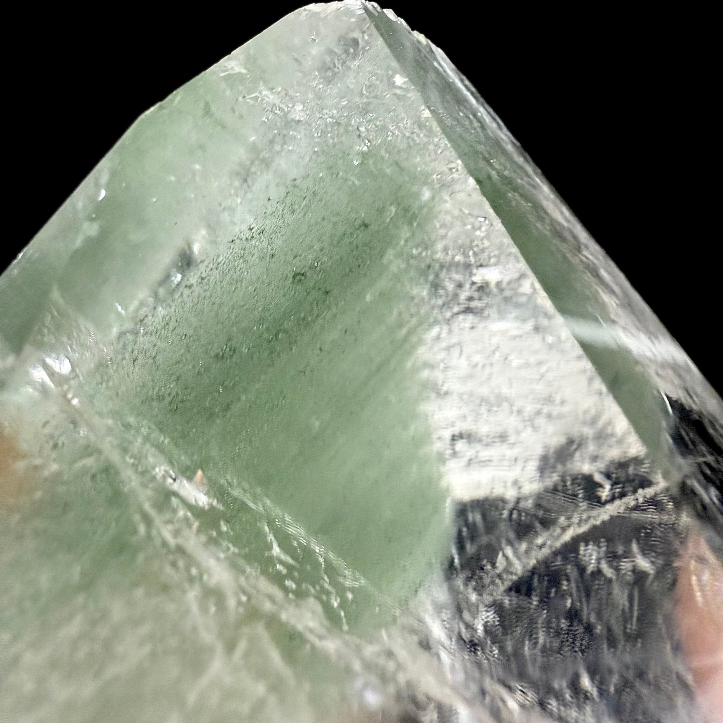 Chlorite in Clear Quart Point | SELF STANDING | Large Quartz Point | Fine Mineral | Superb Minerals | Collectors Piece Quartz Superb Minerals 