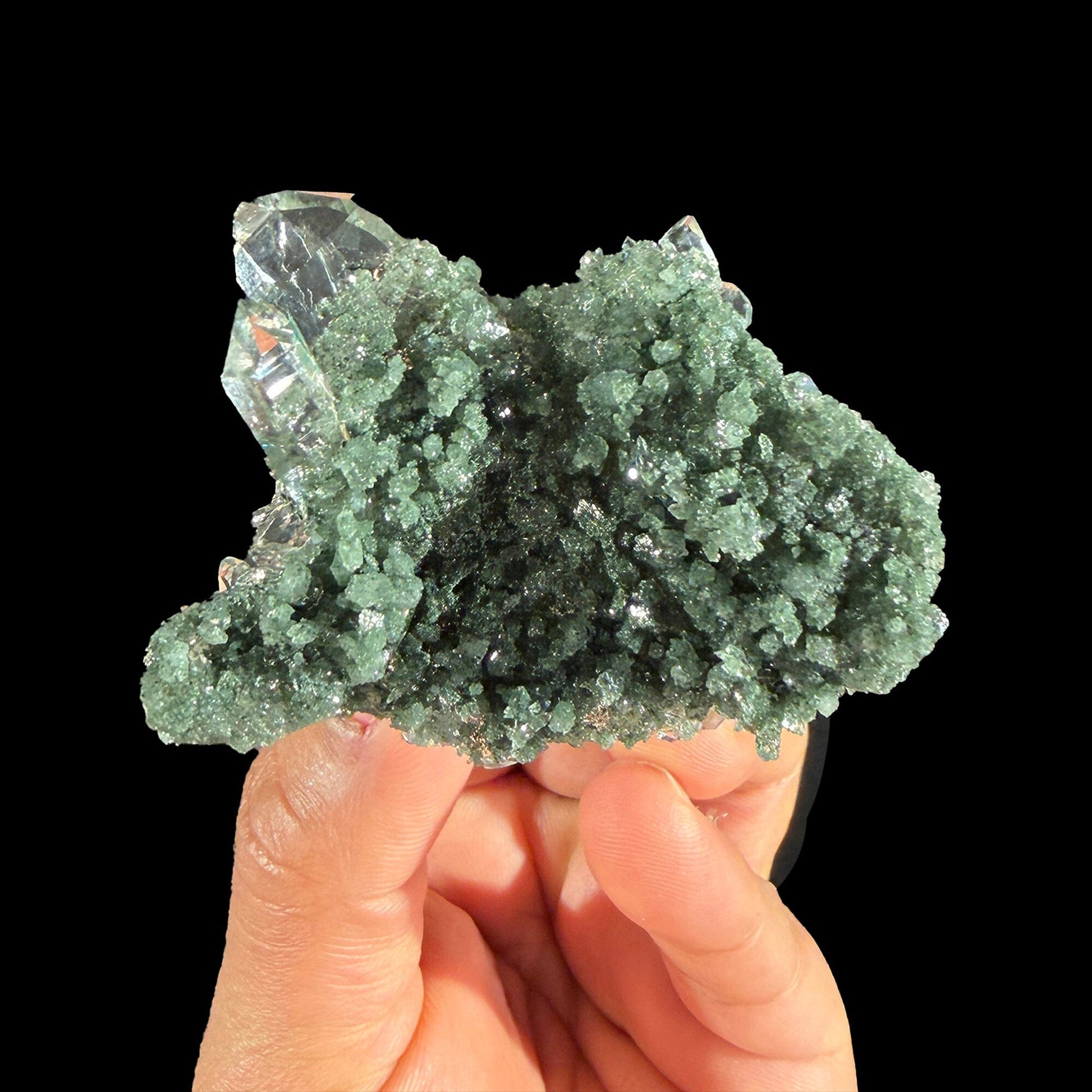 Clear Quartz Cluster – High-Vibration Crystal Points Mineral Specimen # DKT6 QUARTZ Superb Minerals 