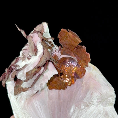 Copper on Scolecite | High Quality Mineral | Indian Minerals | Superb Minerals | Fine Mineral | Collectors Piece Scolecite Superb Minerals 