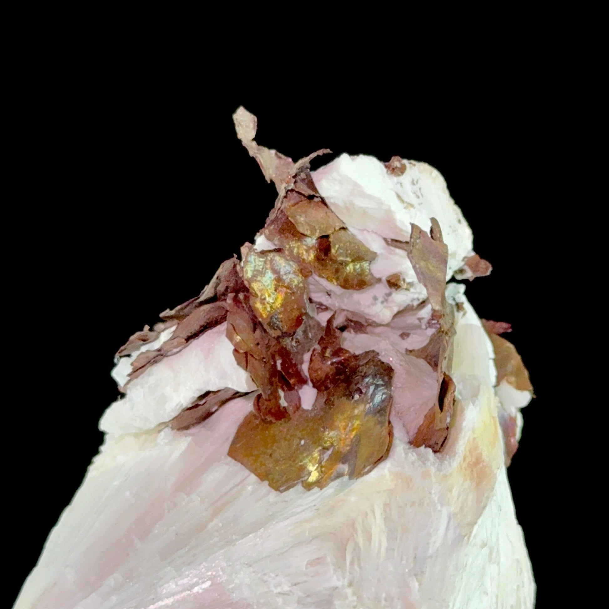 Copper on Scolecite | High Quality Mineral | Indian Minerals | Superb Minerals | Fine Mineral | Collectors Piece Scolecite Superb Minerals 