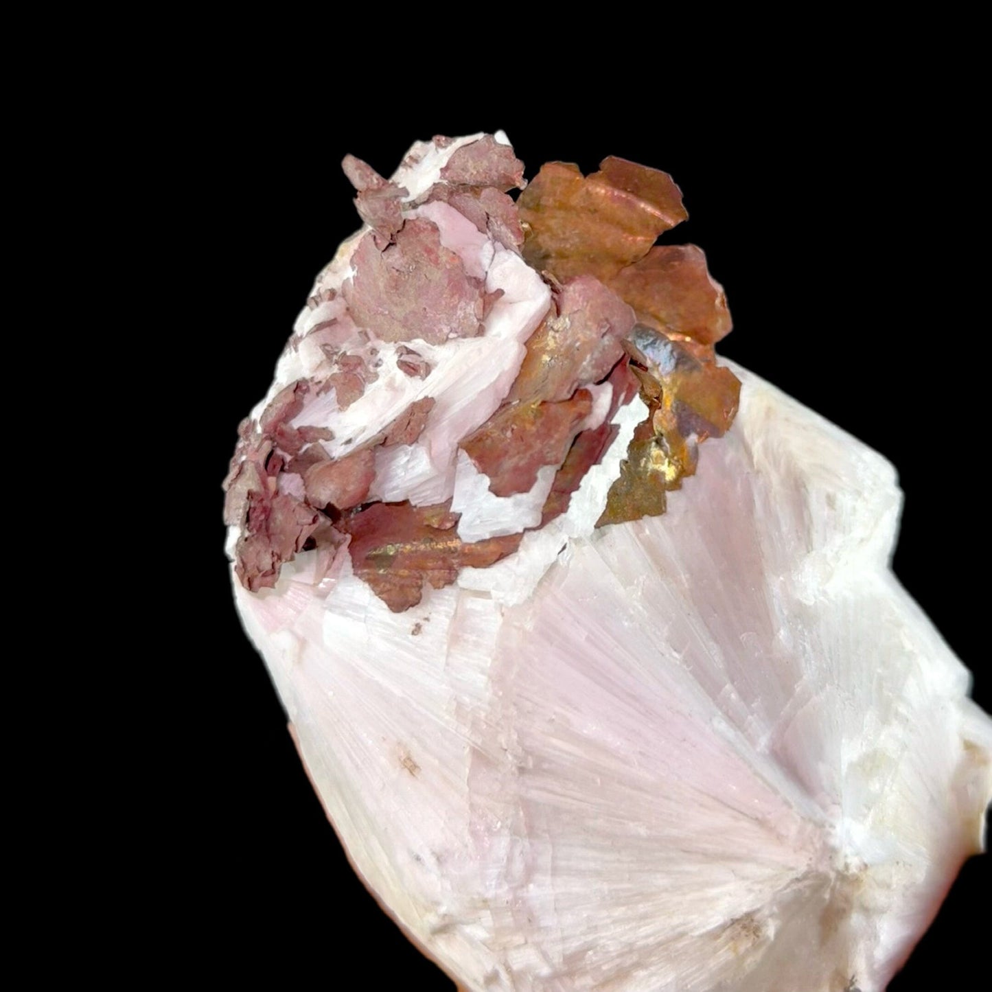 Copper on Scolecite | High Quality Mineral | Indian Minerals | Superb Minerals | Fine Mineral | Collectors Piece Scolecite Superb Minerals 