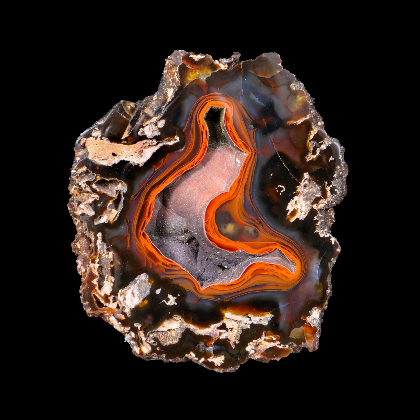 Crater Agate – Fluorescent Chalcedony Quartz Specimen from Chubut , Argentina (UV Reactive) # B 7182 Crater Agate Superb Minerals 