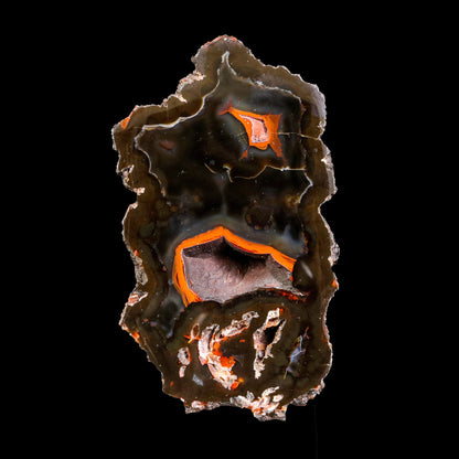 Crater Agate – Fluorescent Chalcedony Quartz Specimen from Chubut , Argentina (UV Reactive) # B 7184 Crater Agate Superb Minerals 