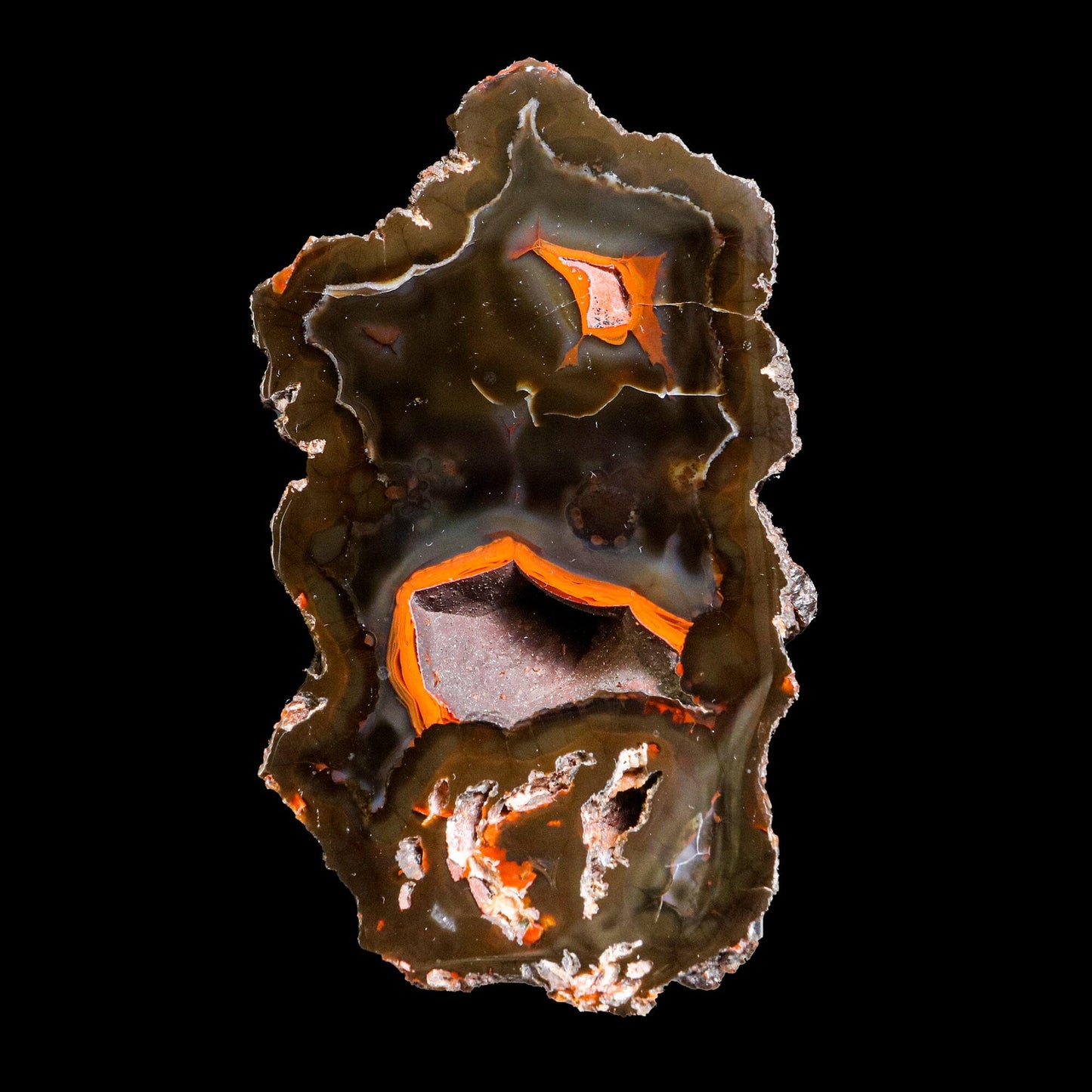 Crater Agate – Fluorescent Chalcedony Quartz Specimen from Chubut , Argentina (UV Reactive) # B 7184 Crater Agate Superb Minerals 