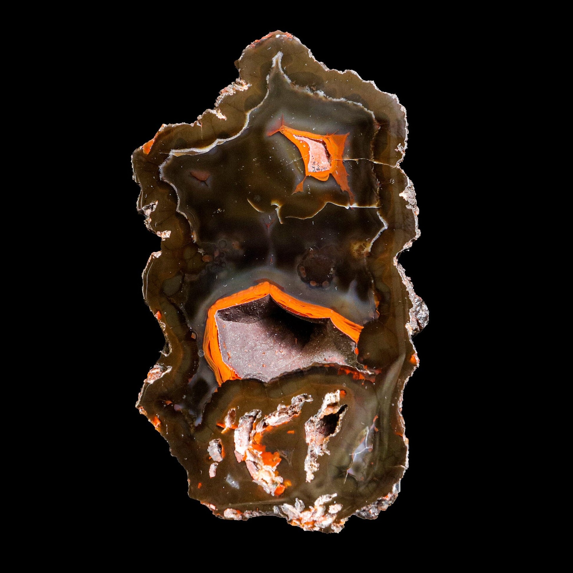 Crater Agate – Fluorescent Chalcedony Quartz Specimen from Chubut , Argentina (UV Reactive) # B 7184 Crater Agate Superb Minerals 