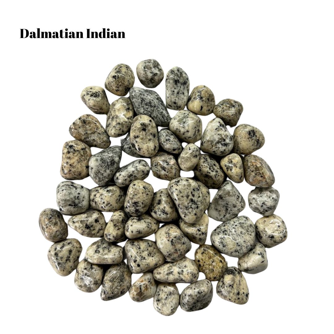 Dalmatian Jasper Tumbled Stones – 1 lb Bulk Bag | Polished Spotted Cream & Black Stones Tumble Superb Minerals 