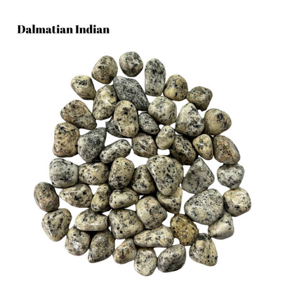 Dalmatian Jasper Tumbled Stones – 1 lb Bulk Bag | Polished Spotted Cream & Black Stones Tumble Superb Minerals 