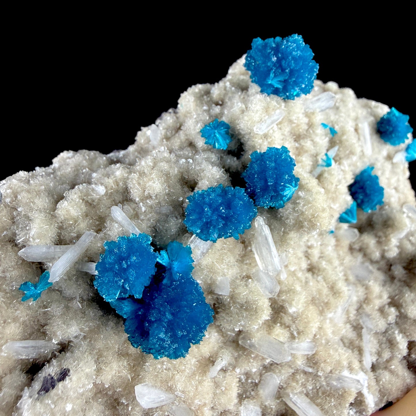 Electric Blue Cavansite Rosettes with Stilbite & Heulandite - Collector’s Indian Zeolite Specimen from Pune #DKT154 apophyllite Superb Minerals 