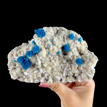 Electric Blue Cavansite Rosettes with Stilbite & Heulandite - Collector’s Indian Zeolite Specimen from Pune #DKT154 apophyllite Superb Minerals 