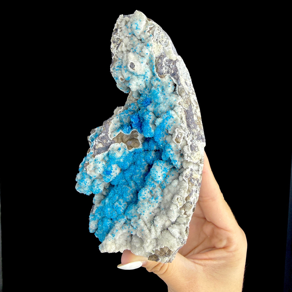 Electric Electric Blue Pentagonite Sprays on Heulandite Matrix - Rare Collector’s Cabinet Specimen from Pune, India # DKT180 Pentagonite Superb Minerals 