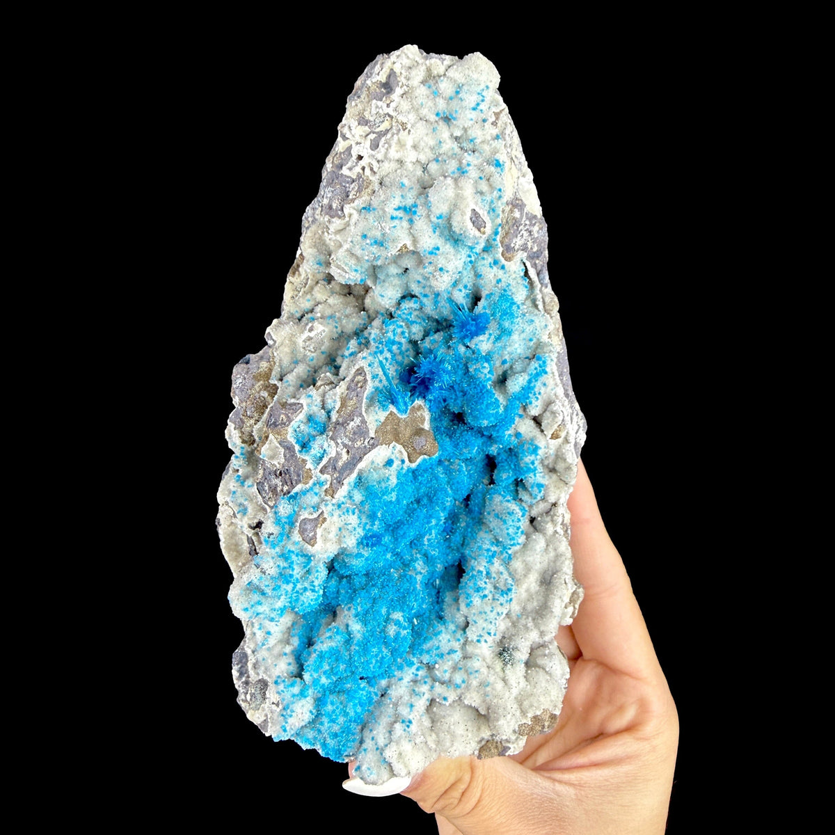 Electric Electric Blue Pentagonite Sprays on Heulandite Matrix - Rare Collector’s Cabinet Specimen from Pune, India # DKT180 Pentagonite Superb Minerals 