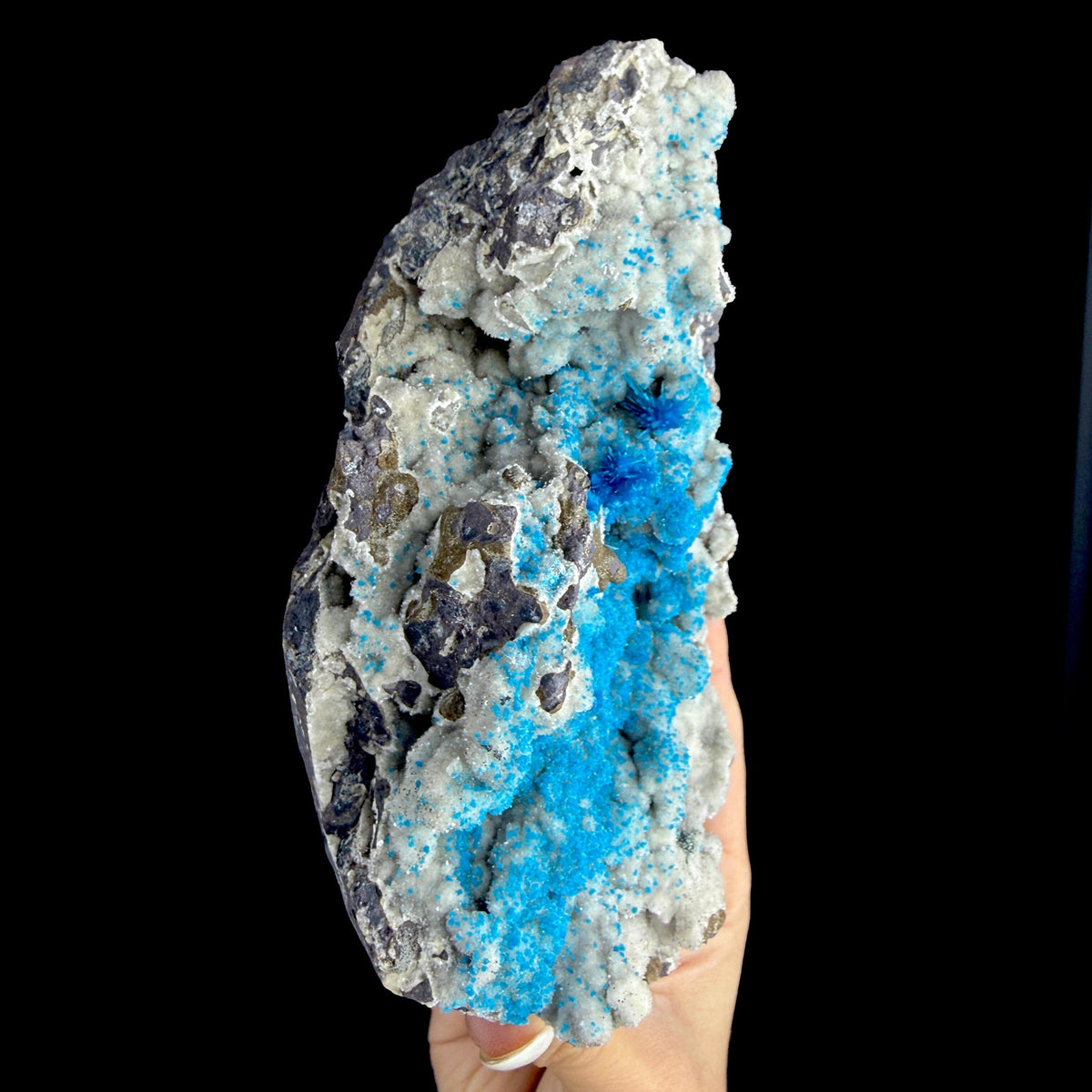 Electric Electric Blue Pentagonite Sprays on Heulandite Matrix - Rare Collector’s Cabinet Specimen from Pune, India # DKT180 Pentagonite Superb Minerals 